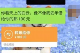 物业费催收案件律师：专业法律支持，保障您的权益